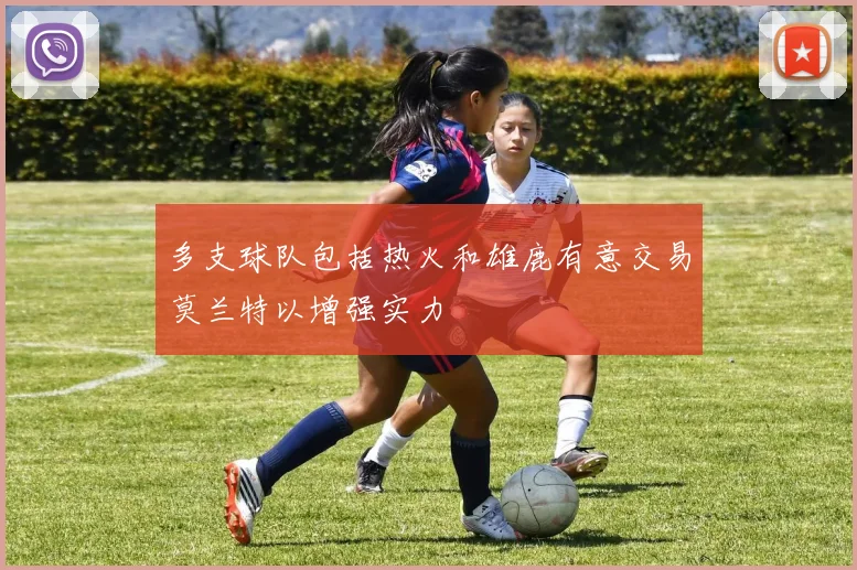多支球队包括热火和雄鹿有意交易莫兰特以增强实力